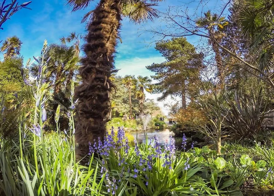 Bournecoast - Bungalow-Garden-Bbq Hut-Wifi- Hb6339 Bournemouth Holiday home